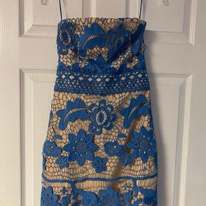 Endless rose revolve strapless dress